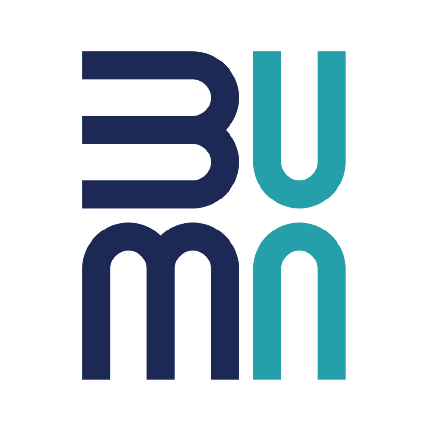BUMN