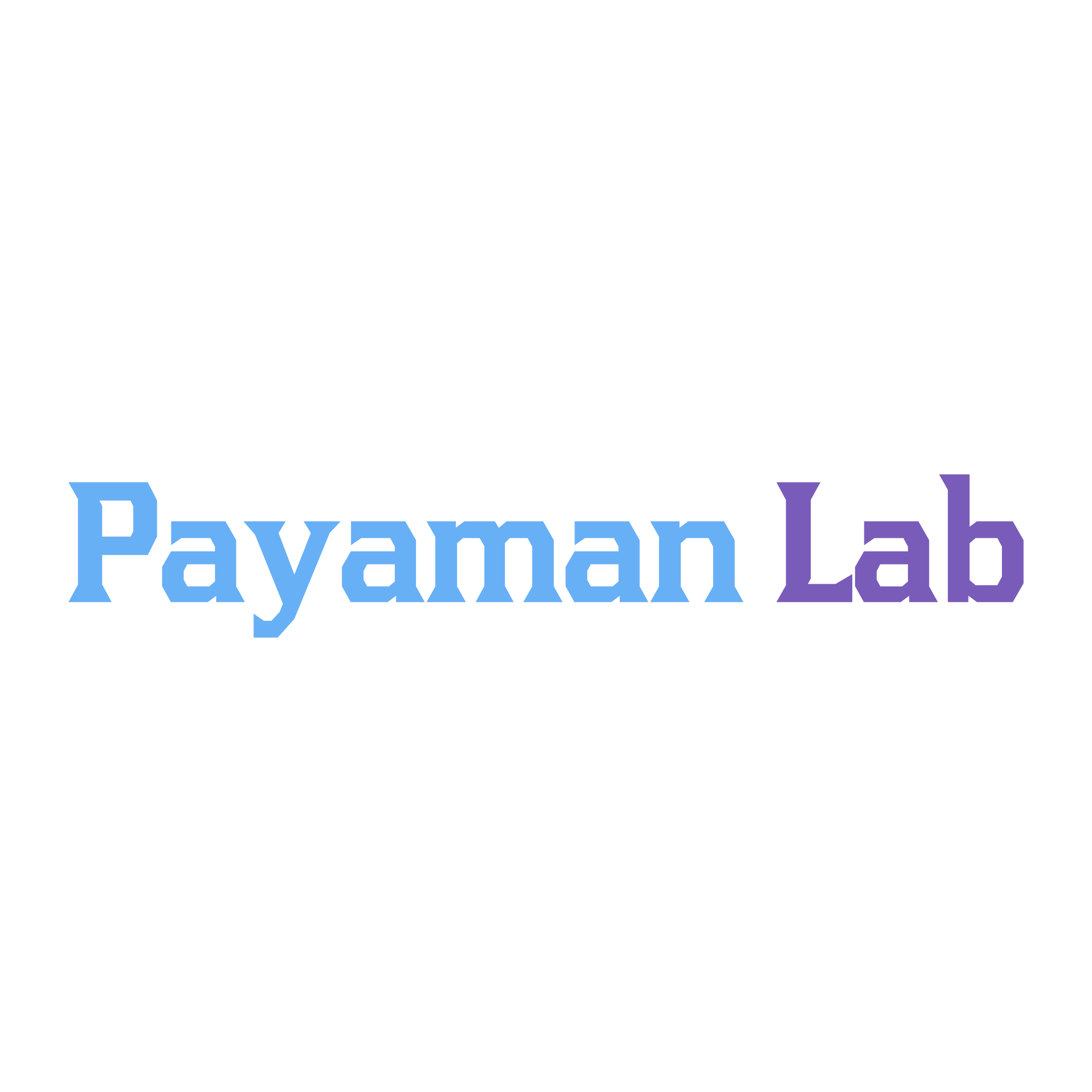 Payaman Lab Text Logo